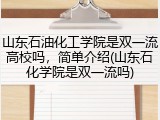 山东石油化工学院是双一流高校吗，简单介绍(山东石化学院是双一流吗)