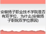 安徽扬子职业技术学院是否有双学位，为什么(安徽扬子职院双学位原因)