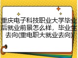 重庆电子科技职业大学毕业后就业前景怎么样，毕业生去向(重电职大就业去向)