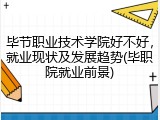 毕节职业技术学院好不好，就业现状及发展趋势(毕职院就业前景)