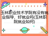 玉林职业技术学院有没有就业指导，好就业吗(玉林职院就业如何)