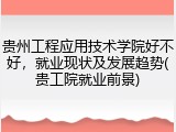 贵州工程应用技术学院好不好，就业现状及发展趋势(贵工院就业前景)