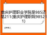重庆护理职业学院是985还是211(重庆护理职院985211)