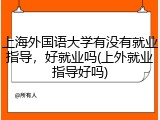 上海外国语大学有没有就业指导，好就业吗(上外就业指导好吗)