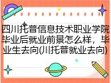 四川托普信息技术职业学院毕业后就业前景怎么样，毕业生去向(川托普就业去向)