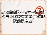 武汉船舶职业技术学院读什么专业比较有前景(武船职院前景专业)