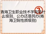 青海卫生职业技术学院是什么级别，公办还是民办(青海卫院性质级别)