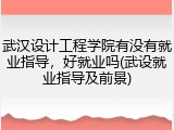 武汉设计工程学院有没有就业指导，好就业吗(武设就业指导及前景)