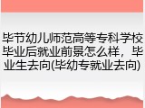 毕节幼儿师范高等专科学校毕业后就业前景怎么样，毕业生去向(毕幼专就业去向)