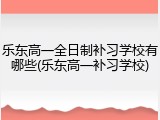乐东高一全日制补习学校有哪些(乐东高一补习学校)
