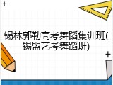 锡林郭勒高考舞蹈集训班(锡盟艺考舞蹈班)