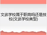 文武学校属于职高吗还是技校(文武学校类型)