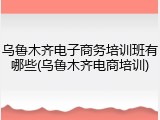 乌鲁木齐电子商务培训班有哪些(乌鲁木齐电商培训)