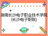 湖南长沙电子职业技术学院(长沙电子职院)