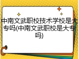中南文武职校技术学校是大专吗(中南文武职校是大专吗)