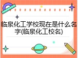 临泉化工学校现在是什么名字(临泉化工校名)