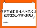 辽河石油职业技术学院校址在哪里(辽河职院校址)