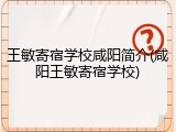 王敏寄宿学校咸阳简介(咸阳王敏寄宿学校)