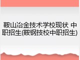 鞍山冶金技术学校现状 中职招生(鞍钢技校中职招生)