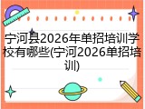 宁河县2026年单招培训学校有哪些(宁河2026单招培训)