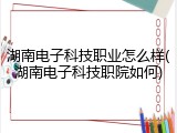 湖南电子科技职业怎么样(湖南电子科技职院如何)