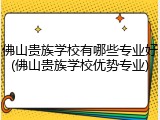 佛山贵族学校有哪些专业好(佛山贵族学校优势专业)