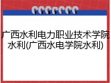广西水利电力职业技术学院水利(广西水电学院水利)