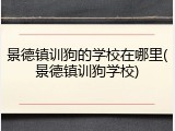 景德镇训狗的学校在哪里(景德镇训狗学校)