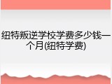 纽特叛逆学校学费多少钱一个月(纽特学费)