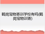 鹤岗宠物寄训学校有吗(鹤岗宠物训寄)