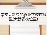 崇左大新县的农业学校在哪里(大新农校位置)