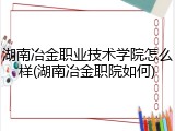 湖南冶金职业技术学院怎么样(湖南冶金职院如何)