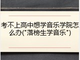 考不上高中想学音乐学院怎么办("落榜生学音乐")