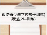 叛逆青少年学校孩子训练(叛逆少年训练)
