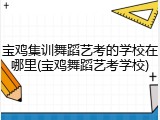 宝鸡集训舞蹈艺考的学校在哪里(宝鸡舞蹈艺考学校)