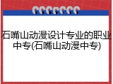 石嘴山动漫设计专业的职业中专(石嘴山动漫中专)