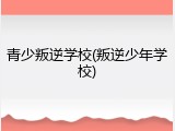 青少叛逆学校(叛逆少年学校)