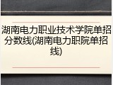 湖南电力职业技术学院单招分数线(湖南电力职院单招线)