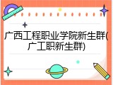 广西工程职业学院新生群(广工职新生群)