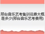邢台音乐艺考集训花费大概是多少(邢台音乐艺考费用)