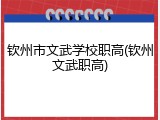 钦州市文武学校职高(钦州文武职高)