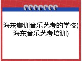 海东集训音乐艺考的学校(海东音乐艺考培训)