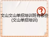 文山文山单招培训班有哪些(文山单招培训)