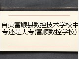 自贡富顺县数控技术学校中专还是大专(富顺数控学校)