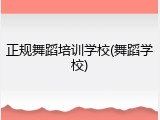 正规舞蹈培训学校(舞蹈学校)