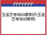 玉溪艺考培训哪家好(玉溪艺考培训推荐)