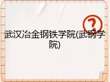 武汉冶金钢铁学院(武钢学院)