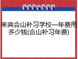 来宾合山补习学校一年费用多少钱(合山补习年费)