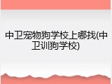 中卫宠物狗学校上哪找(中卫训狗学校)