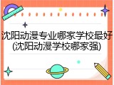 沈阳动漫专业哪家学校最好(沈阳动漫学校哪家强)